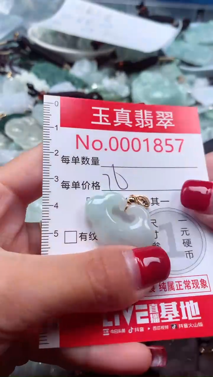 颈饰未镶嵌翡翠1857