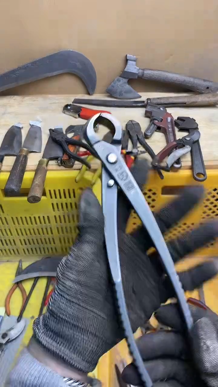 宋*庆 五金园艺工具厨具专属闪购链接