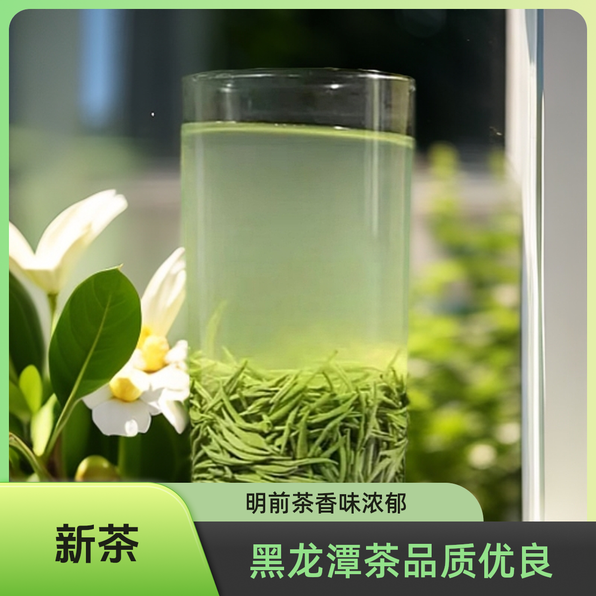 【明前黑龙潭米芽】2025信阳嫩芽绿茶毛尖新茶第一口春茶茶叶