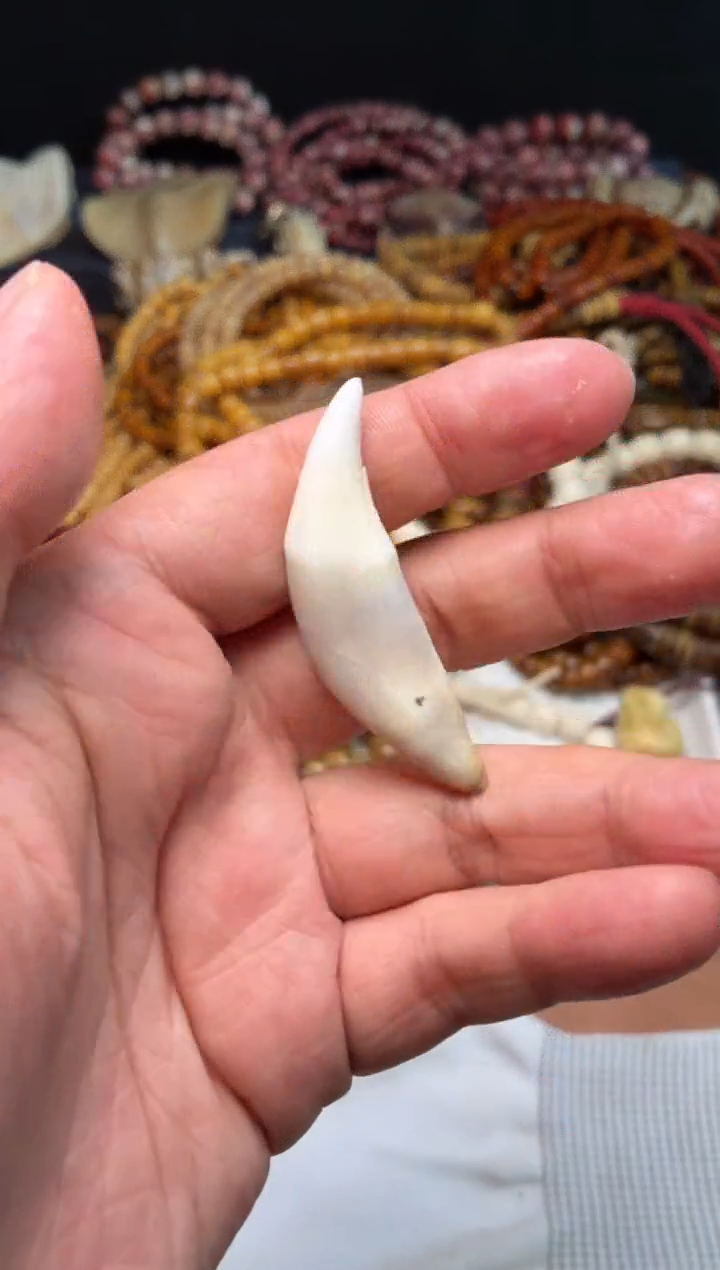 狗牙吊坠记**生单品GP127-狗牙