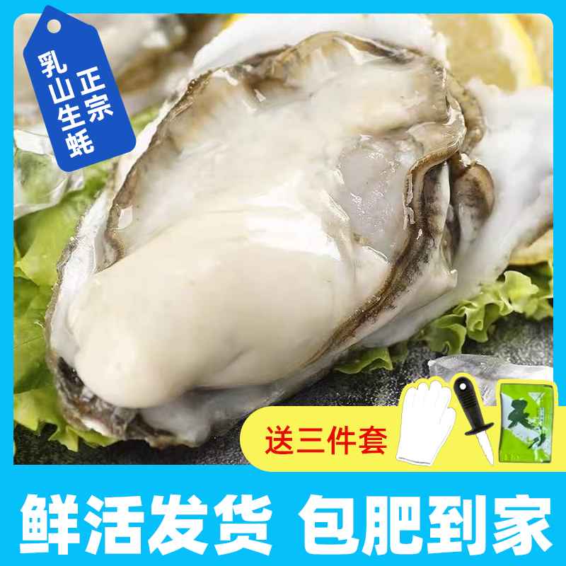 【买5斤送5斤】鲜活乳山生蚝牡蛎海蛎子冷水蚝 到手10斤 原产地直发