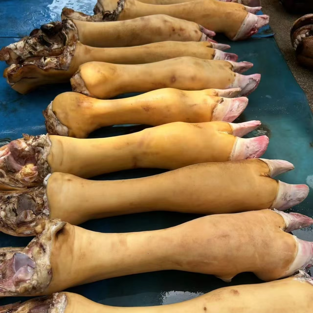正宗河南南阳新鲜黄牛牛蹄B特殊要求及时备注