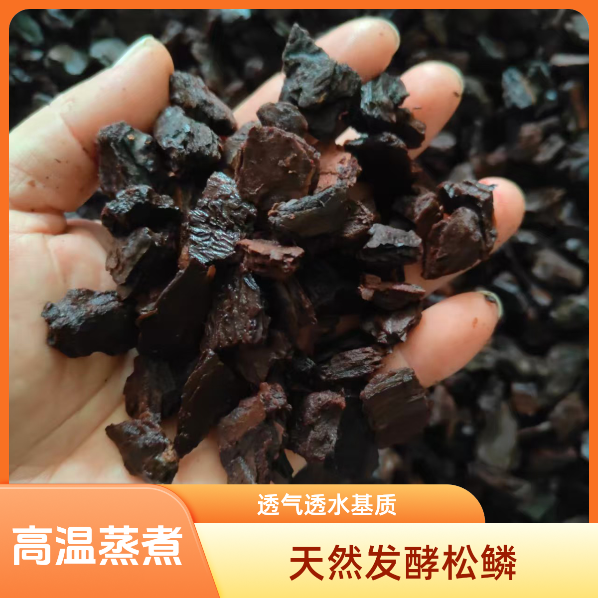 高温蒸煮腐熟松树皮兰花通用基质土颗粒疏松透气适用君子兰蝴蝶兰
