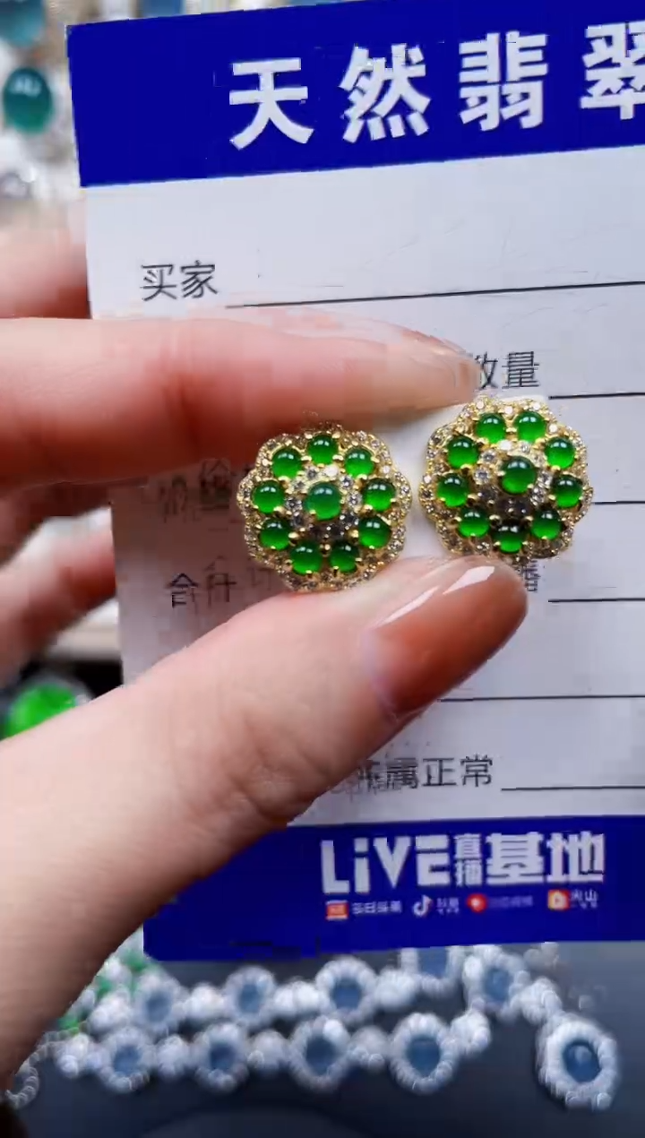 银S925镶嵌翡翠耳饰670