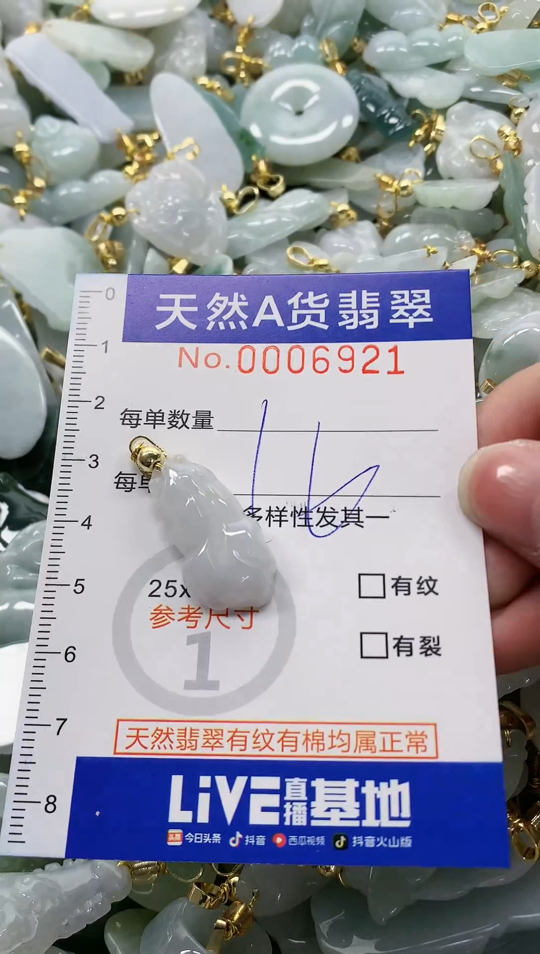 颈饰未镶嵌翡翠纯天然a货翡翠