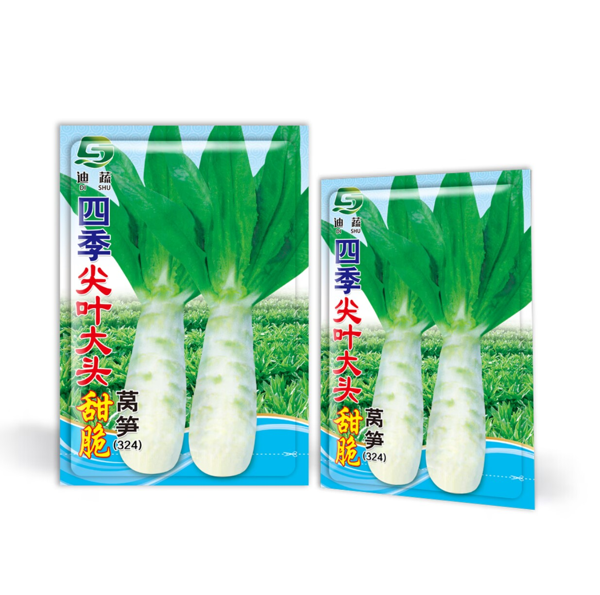 四季尖叶大头甜脆莴笋种子高产大头莴笋种子耐寒白皮绿肉蔬菜种籽