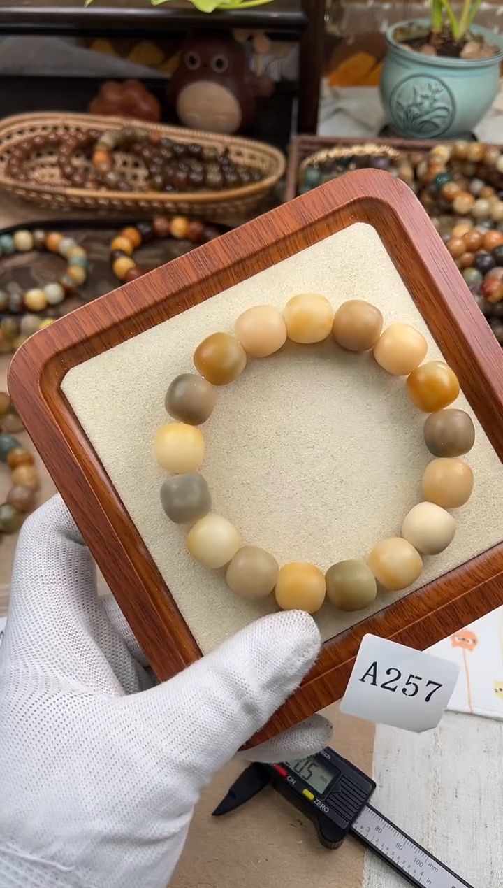 手串菩提根/象牙果a257卡15 干磨瑕疵泡泡糖