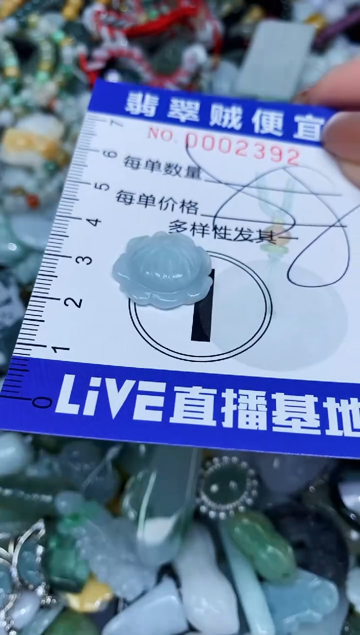 【闪购商品】翡翠未镶嵌颈饰闪购0002392多样性发其一