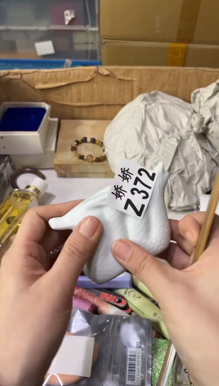 瓷片兰*372定向 兰茹