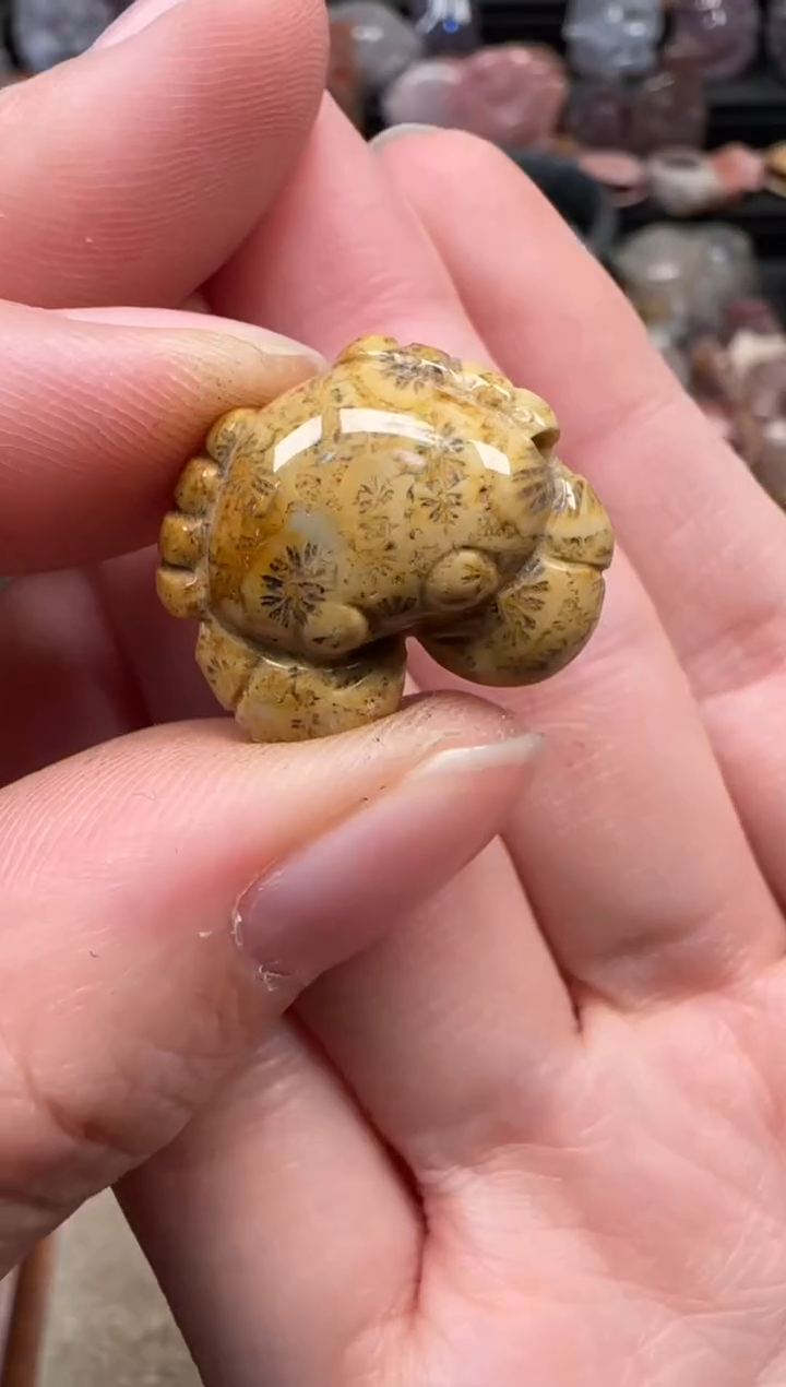 颈饰未镶嵌硅化珊瑚（珊瑚玉）101