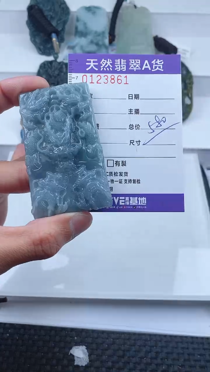【闪购商品】翡翠颈饰未镶嵌         861