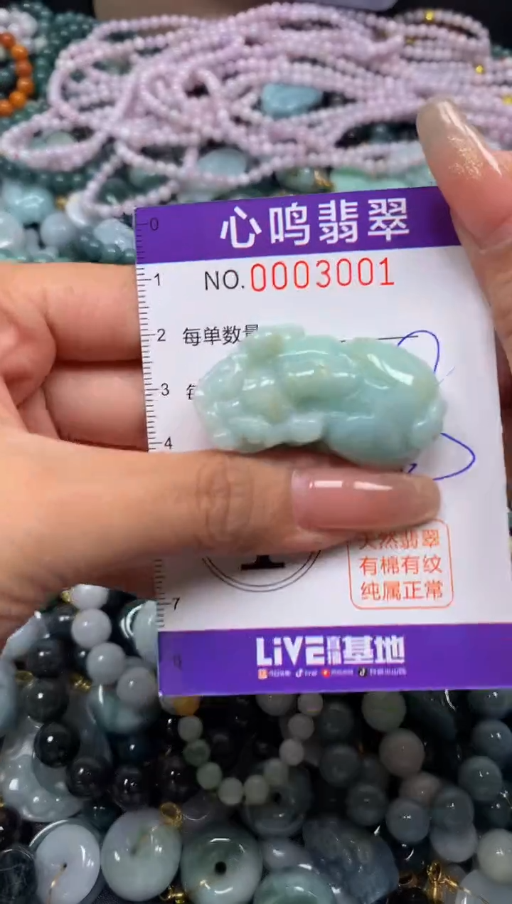 颈饰未镶嵌翡翠闪购003001