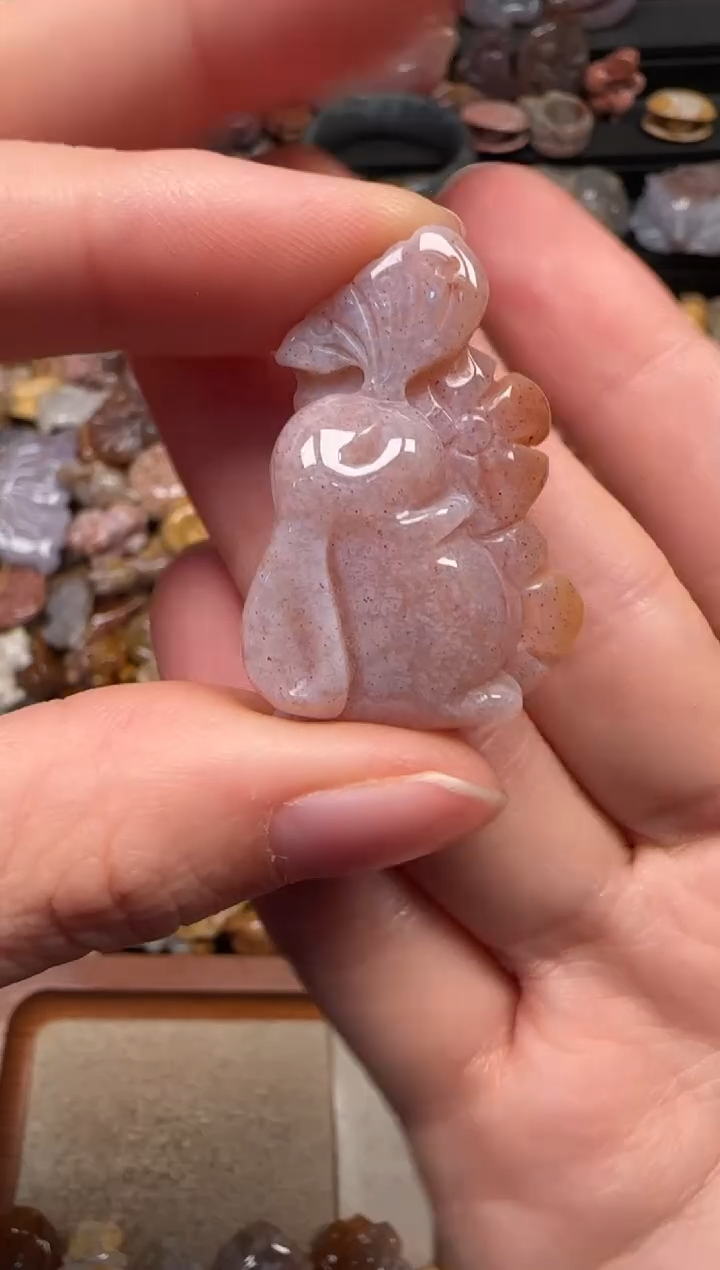 颈饰未镶嵌硅化珊瑚（珊瑚玉）375