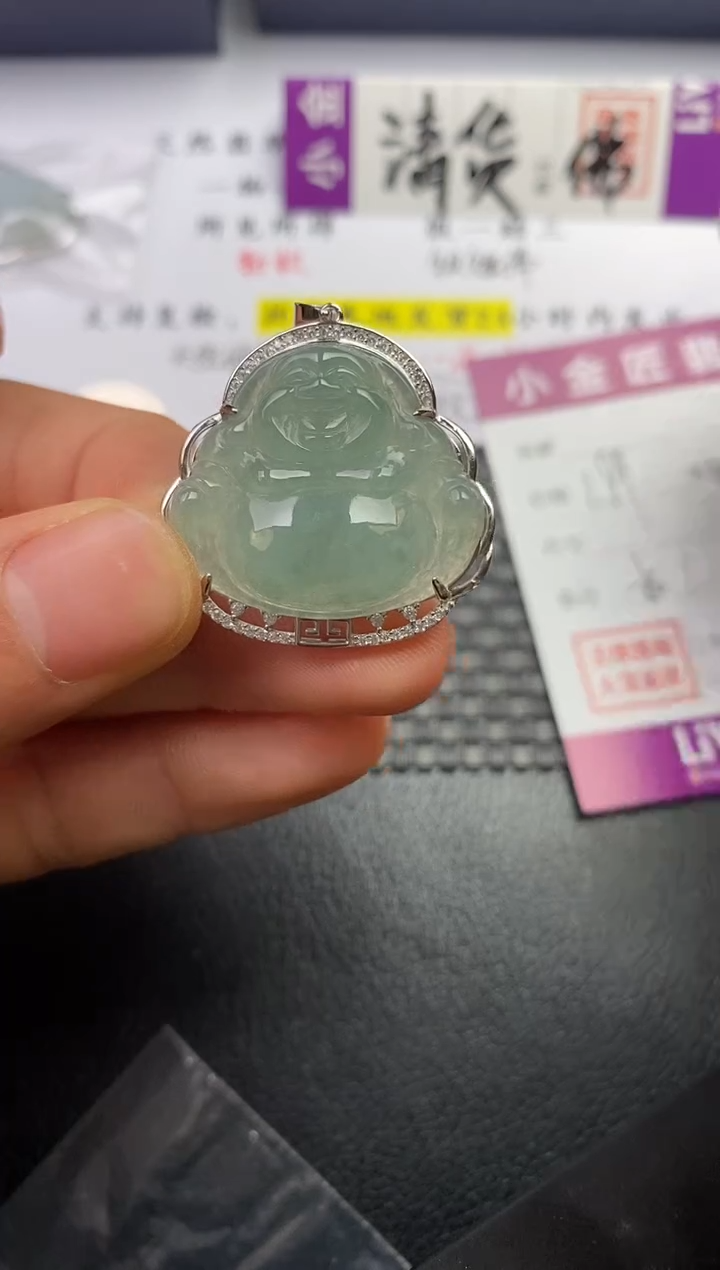 颈饰银S925镶嵌翡翠E***长挂件