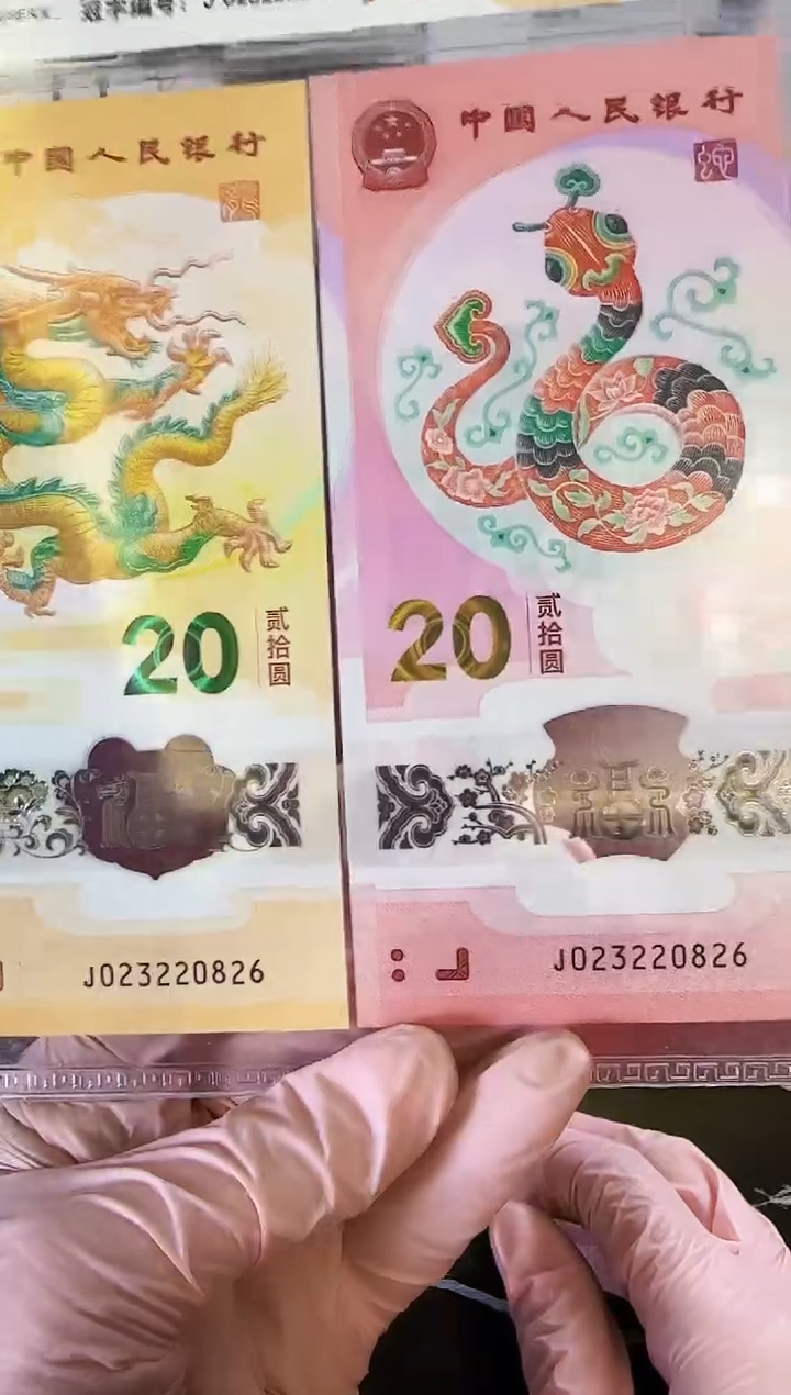 【闪购商品】塑料2025蛇钞单张裸023220826