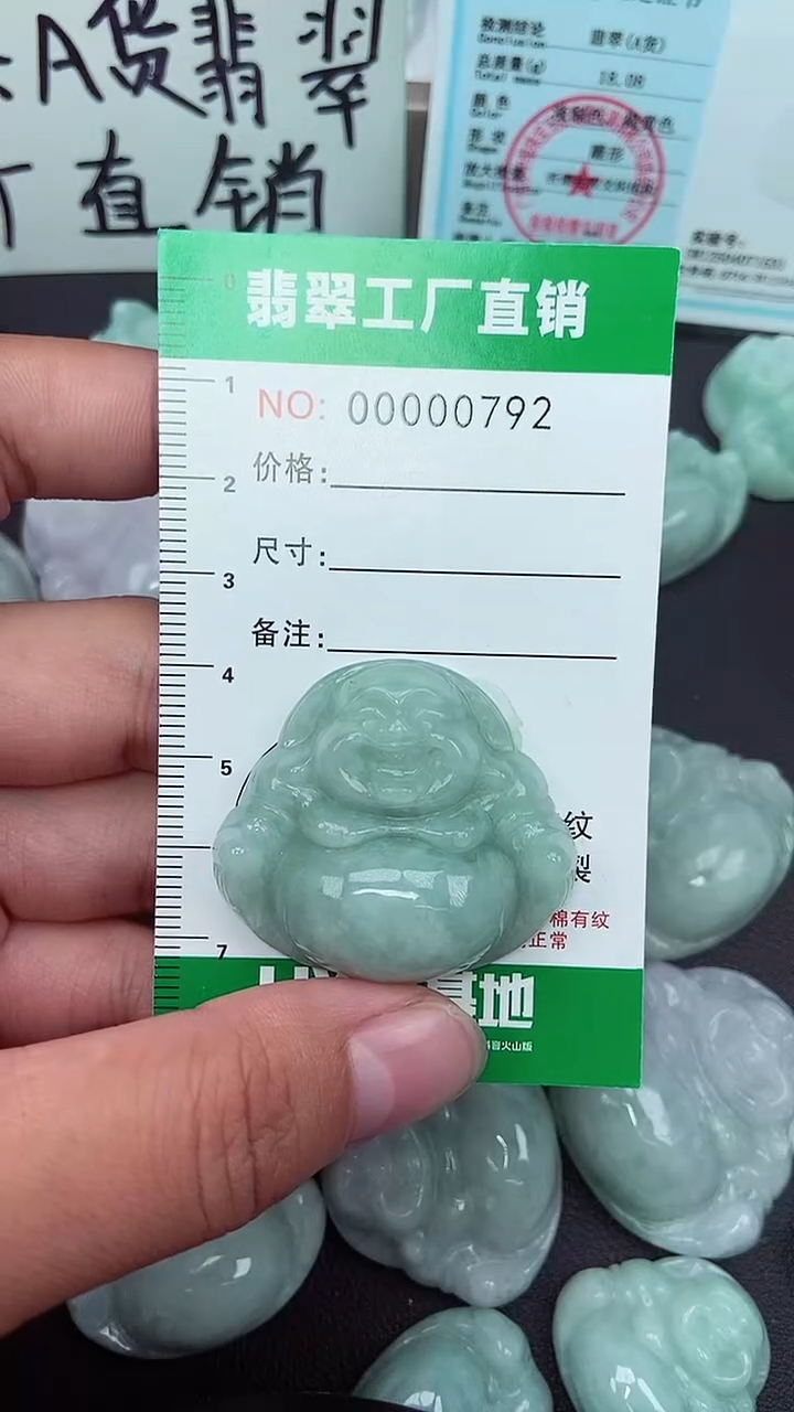 颈饰未镶嵌翡翠缅甸天然翡翠0792