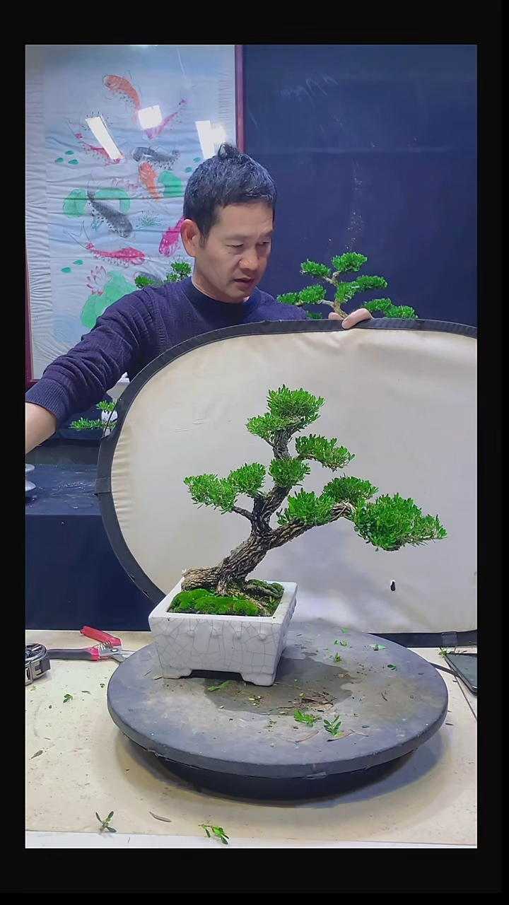 无花朵?1111111111