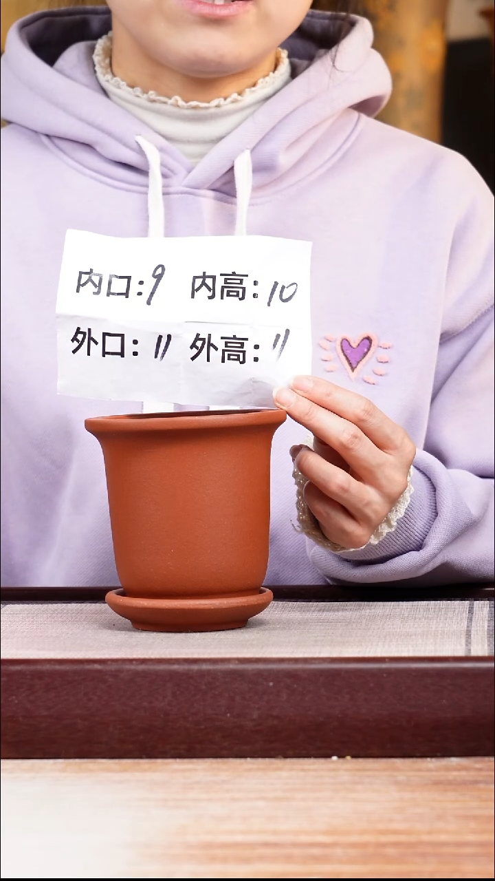 紫砂花盆新款清水泥素面迷你小金钟一只带托