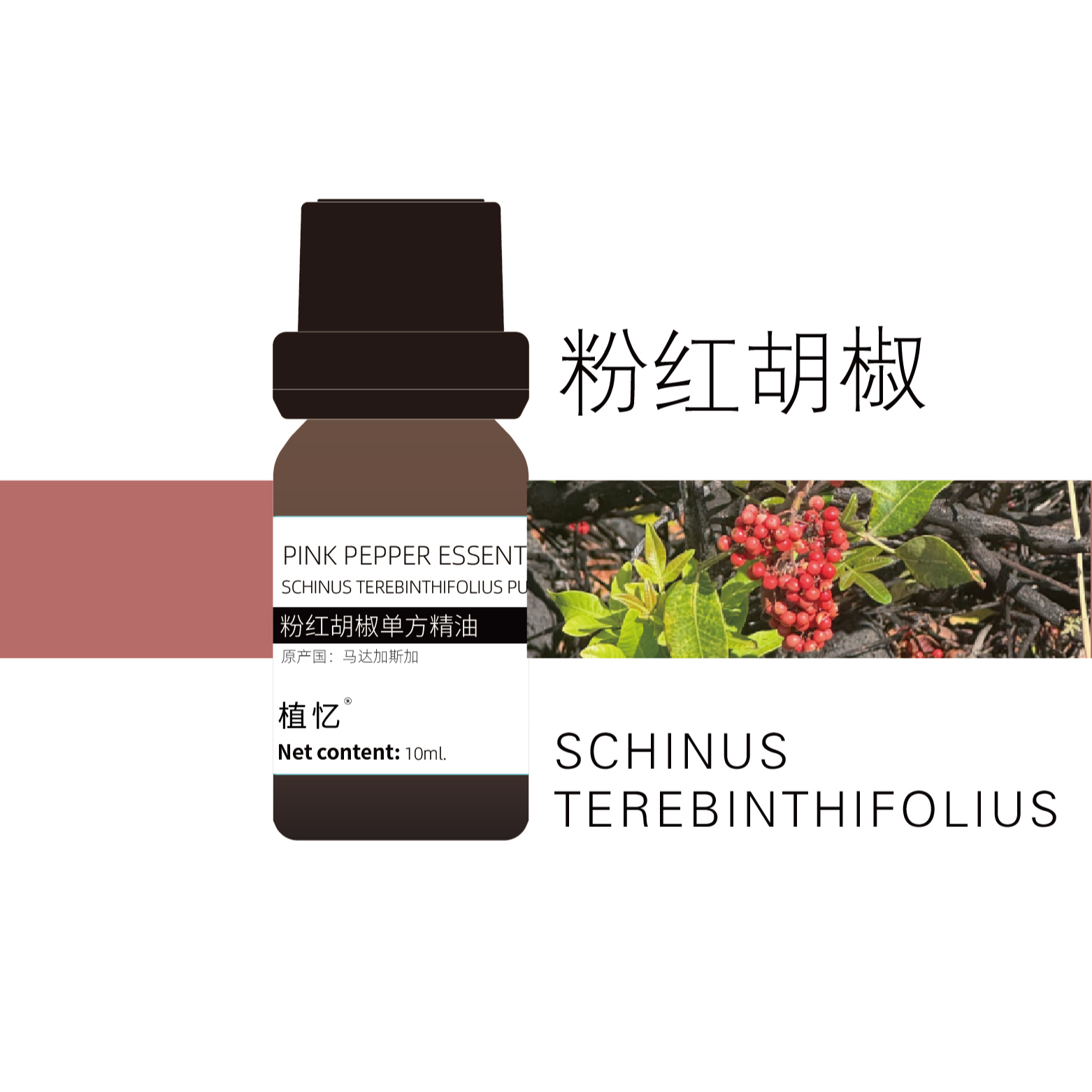 植忆粉红胡椒精油 马达加斯加 植物单方香薰精油