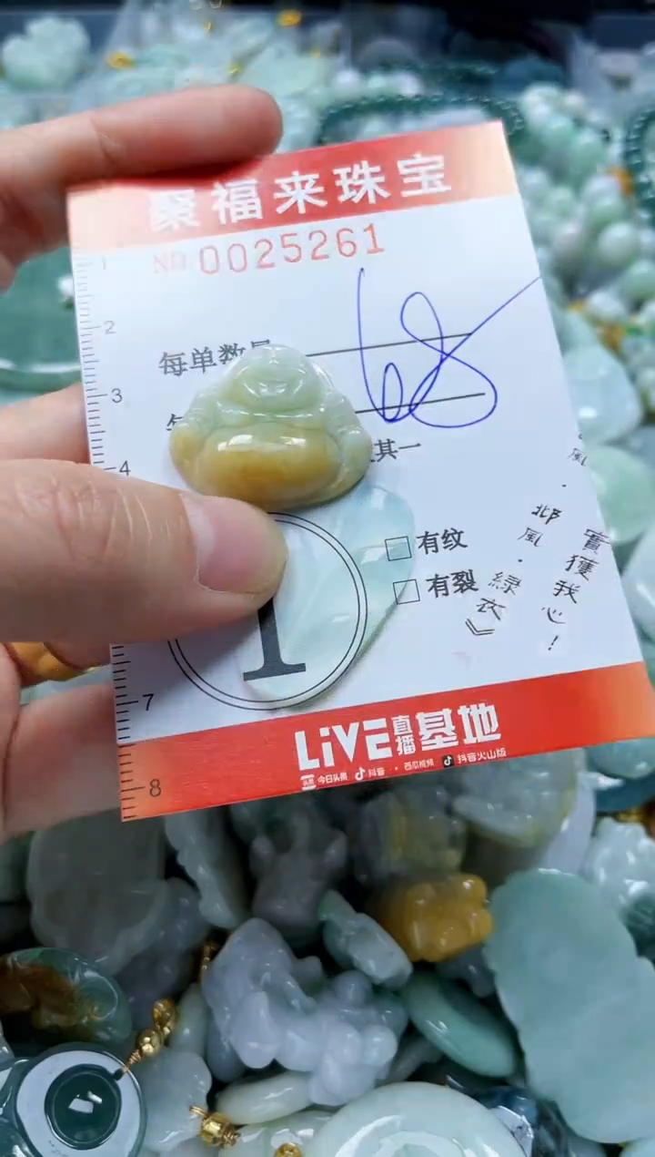 【闪购商品】翡翠颈饰未镶嵌闪购0025261