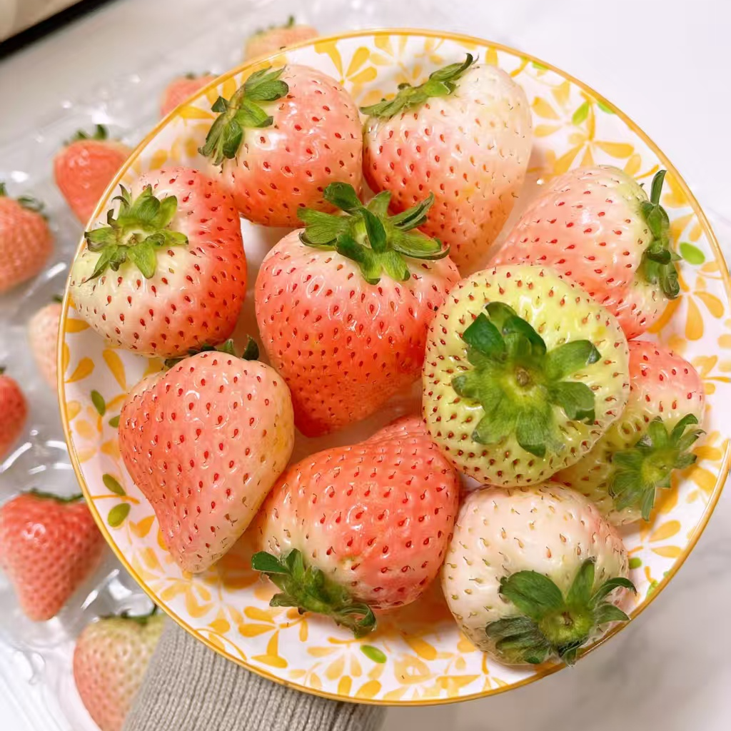 【口感细腻 酸甜可口】丹东粉黛草莓250g/500g粉黛草莓中国大陆