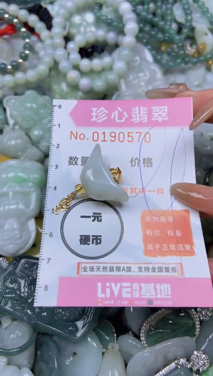 翡翠未镶嵌颈饰闪购链接0190570