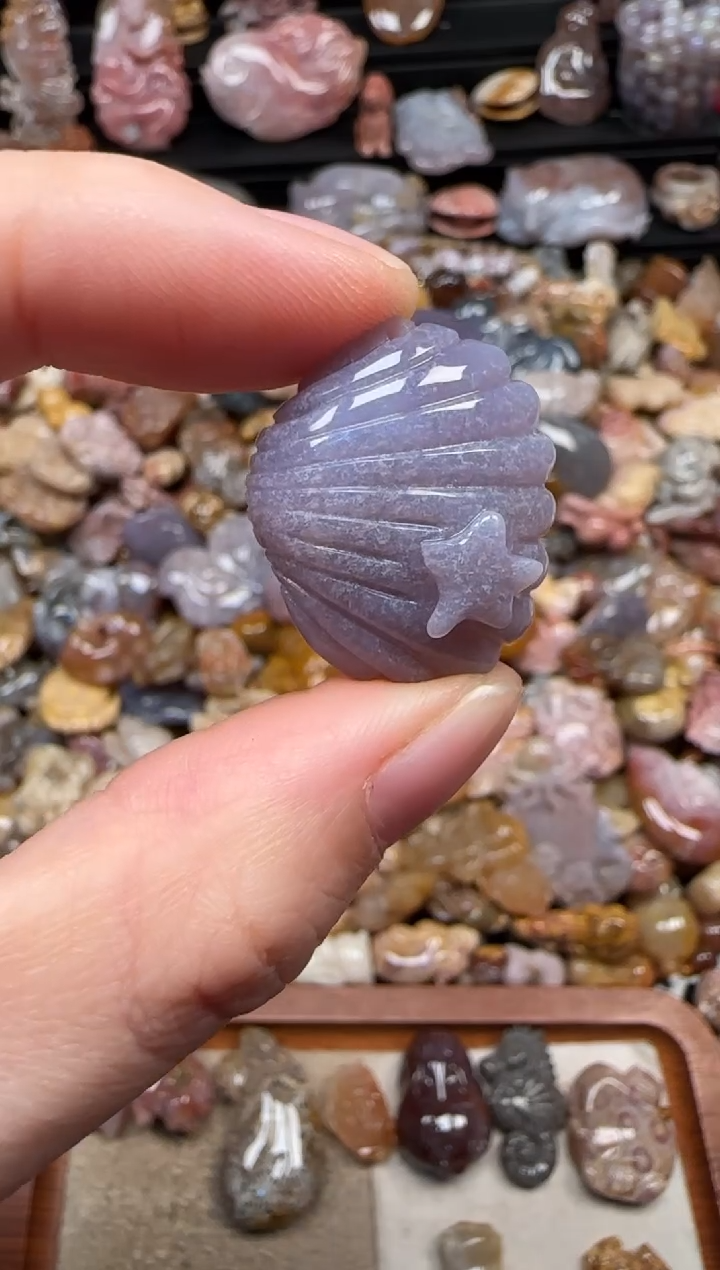 颈饰未镶嵌硅化珊瑚（珊瑚玉）879