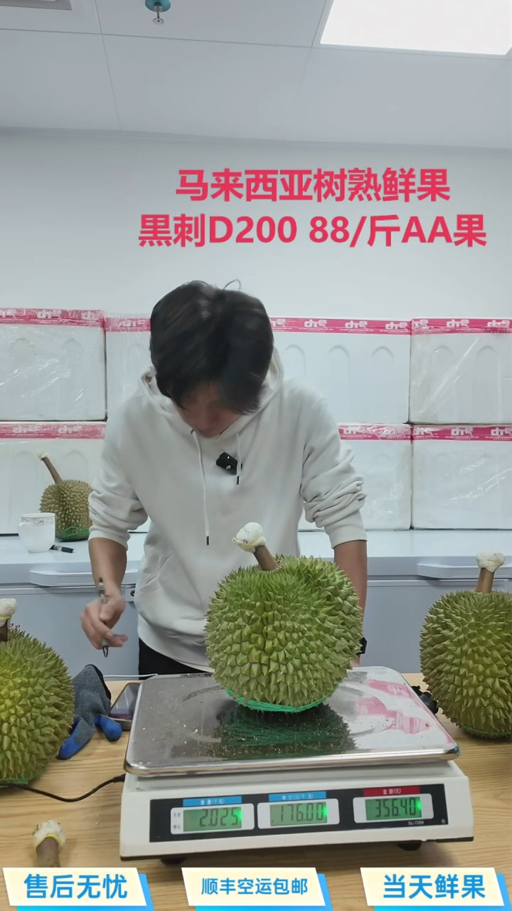 黑刺马来鲜果4.05 356