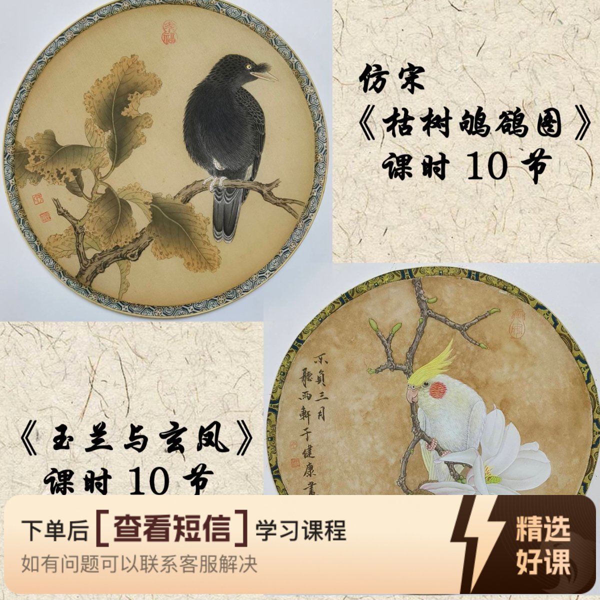 于健康工笔画·鸟类《枯树鸲鹆图/玉兰与玄凤》（留意短信解锁课程）