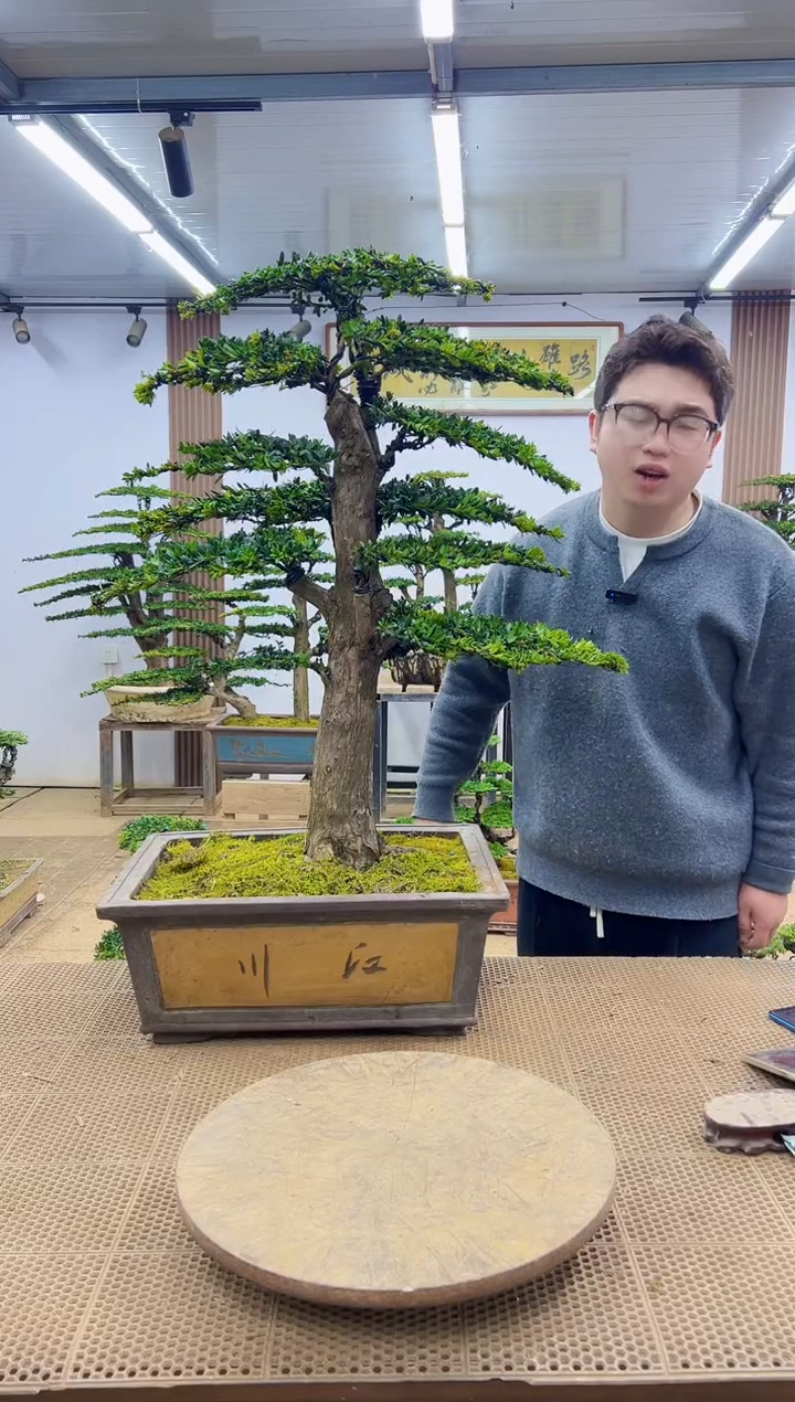 无花朵000000000000