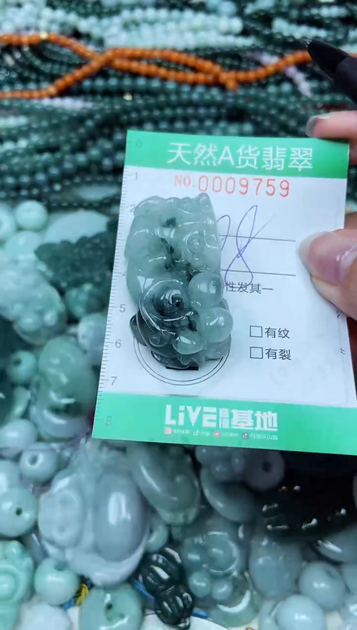 颈饰未镶嵌翡翠天然A货 支持复检