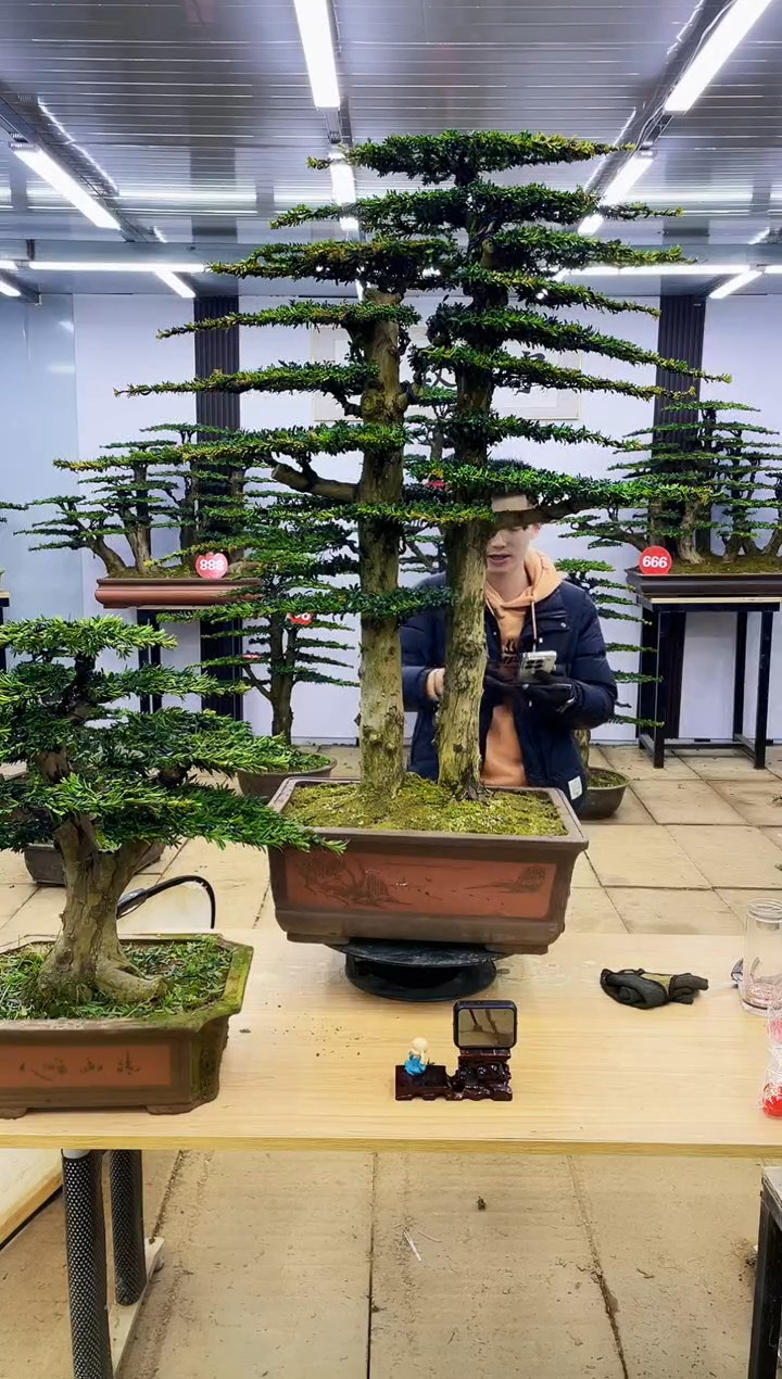 【闪购商品】000000000000