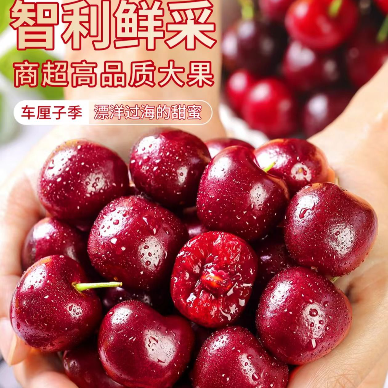 阿杰专属AJ品牌3JJJD桑提娜净重5斤内附果径卡海运智利进口车厘子新鲜水果规格桑提娜樱桃智利共和国