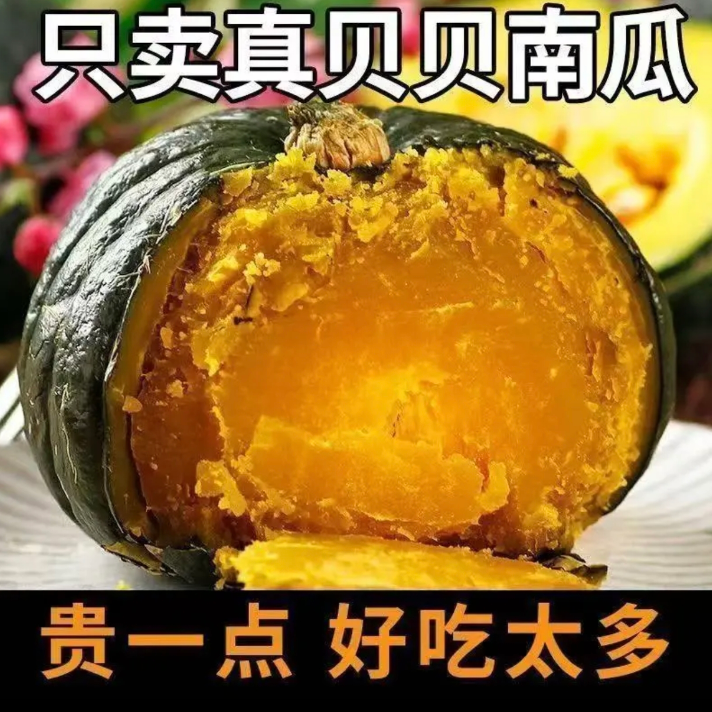 [顺丰包邮]宁夏沙地正宗真贝贝南瓜粉糯香甜板栗味熟化5-7天