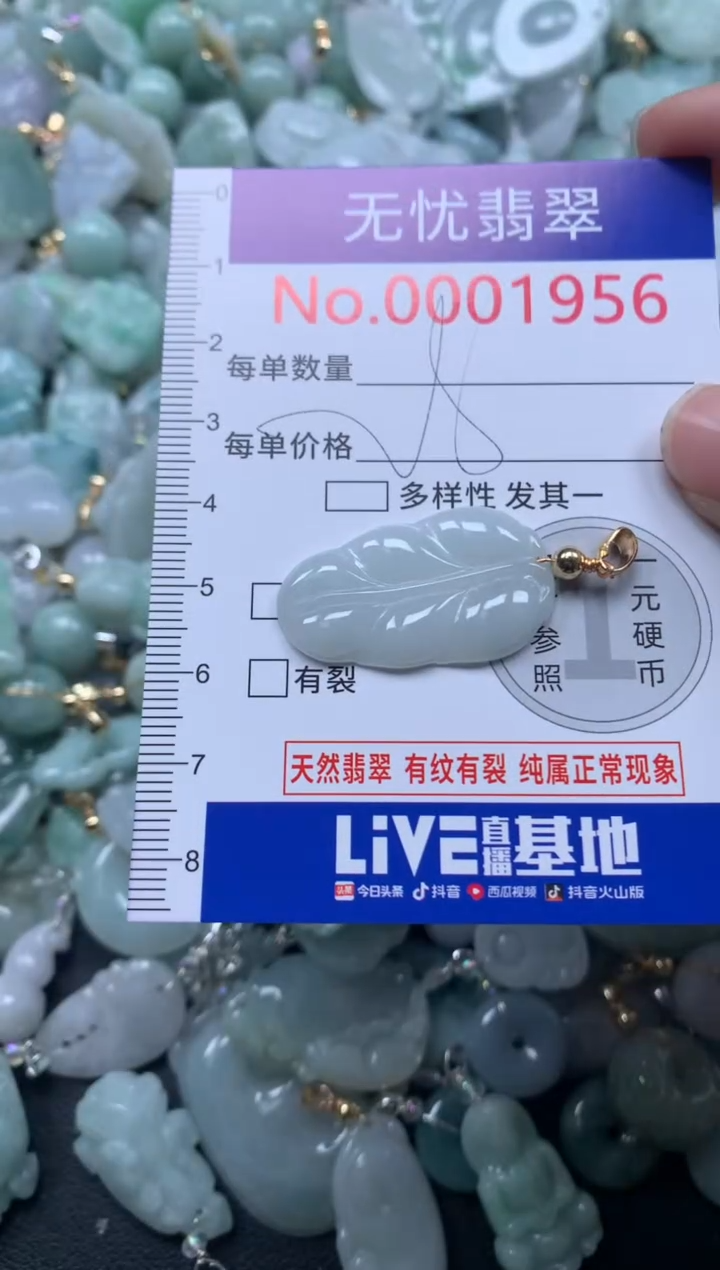 颈饰未镶嵌翡翠1956