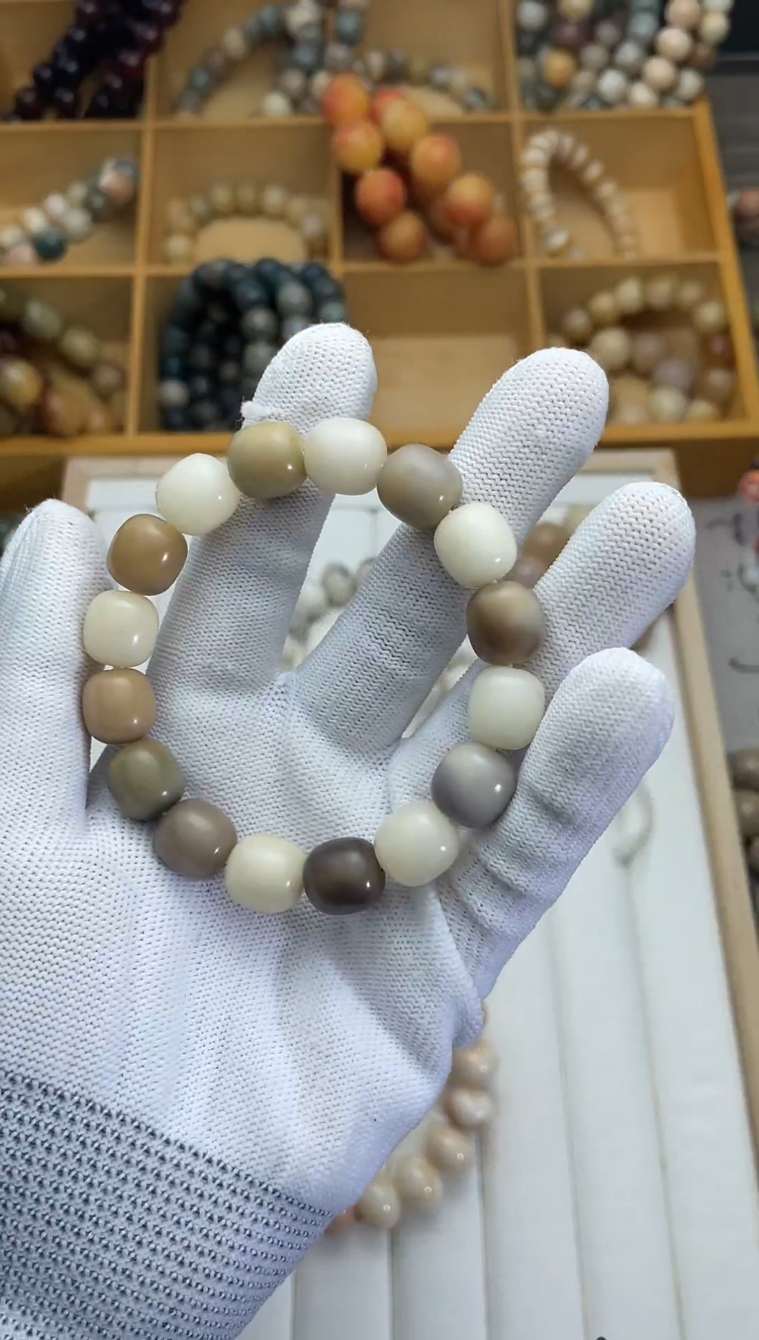 菩提根12多宝年糕菩提