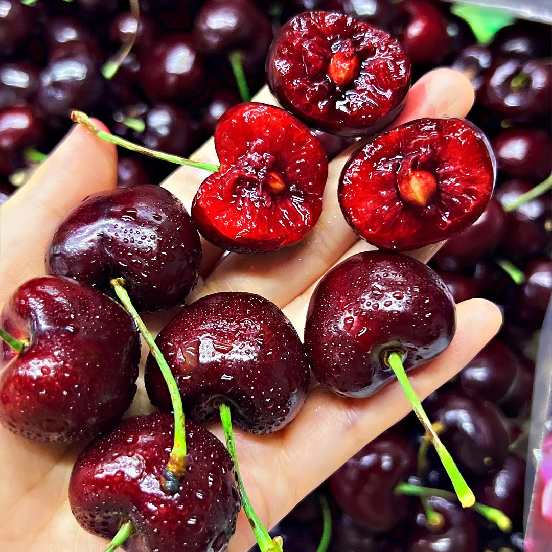 智利桑提娜车厘子【2JD】嘎嘣脆+甜度高【大绿杆】烟台【同城闪送】空运进口新鲜原箱礼盒1斤桑提娜智利桑提娜智利