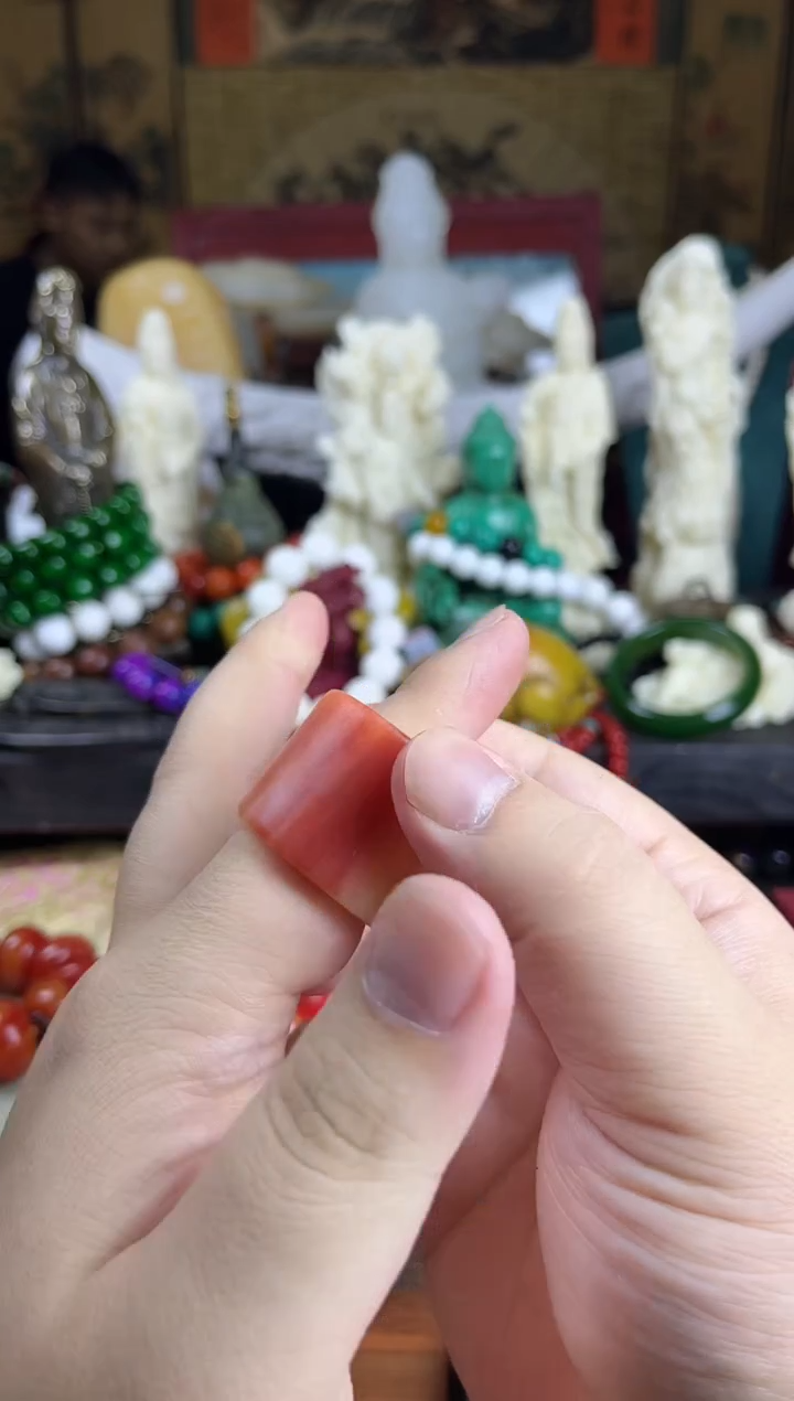 【闪购商品】手串/手链贝壳主播推荐！主播推荐！