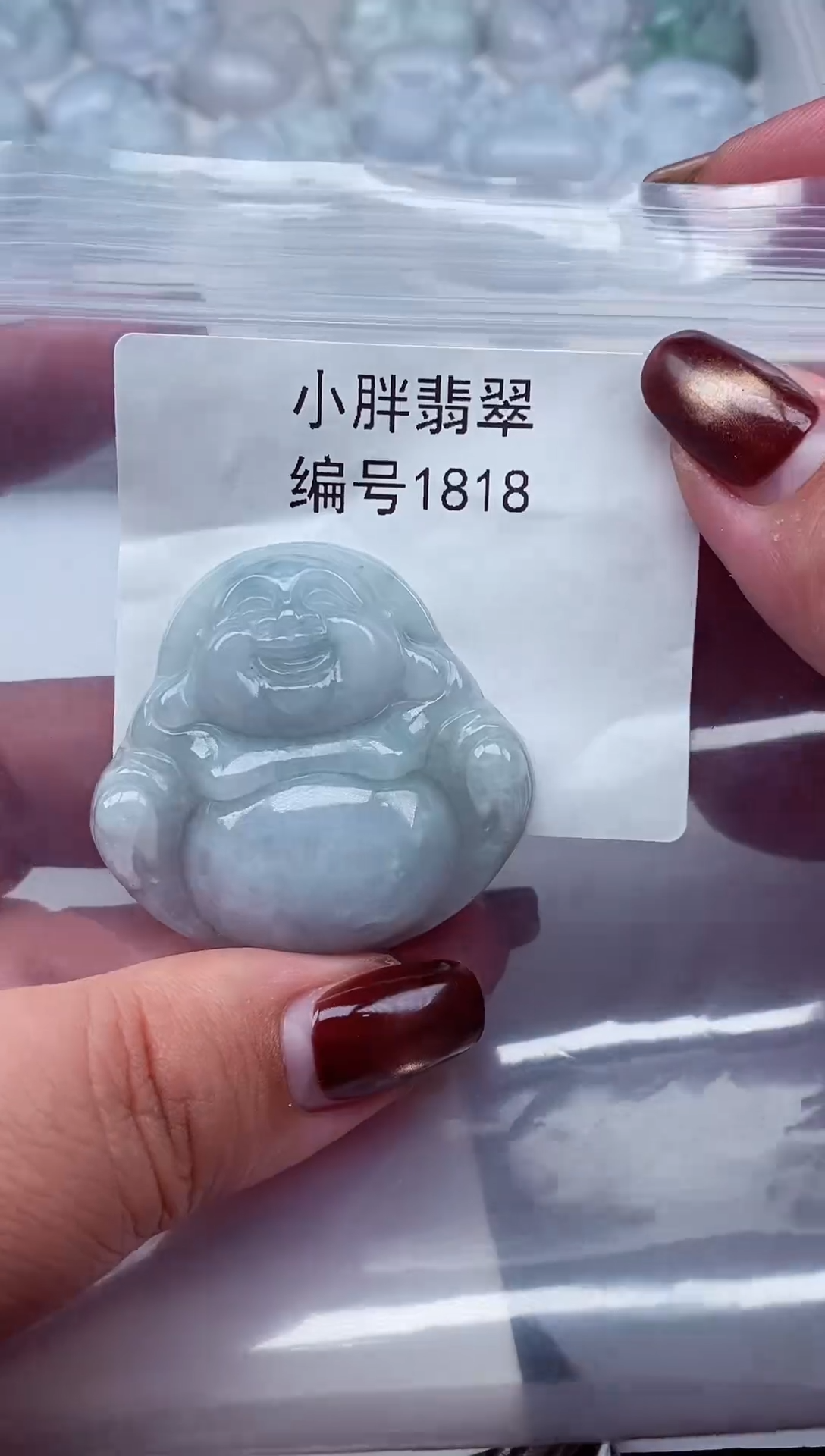 颈饰未镶嵌翡翠缅甸天然A货翡翠1818