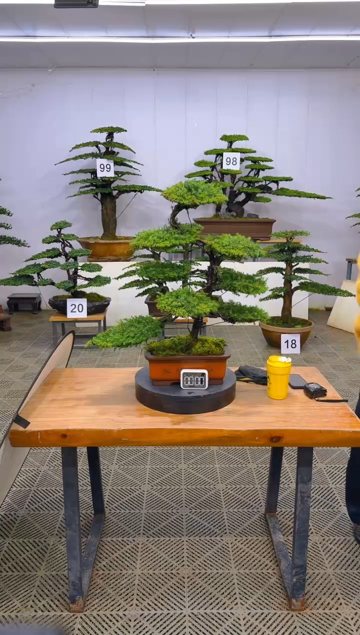 无花朵一物一拍一物一拍