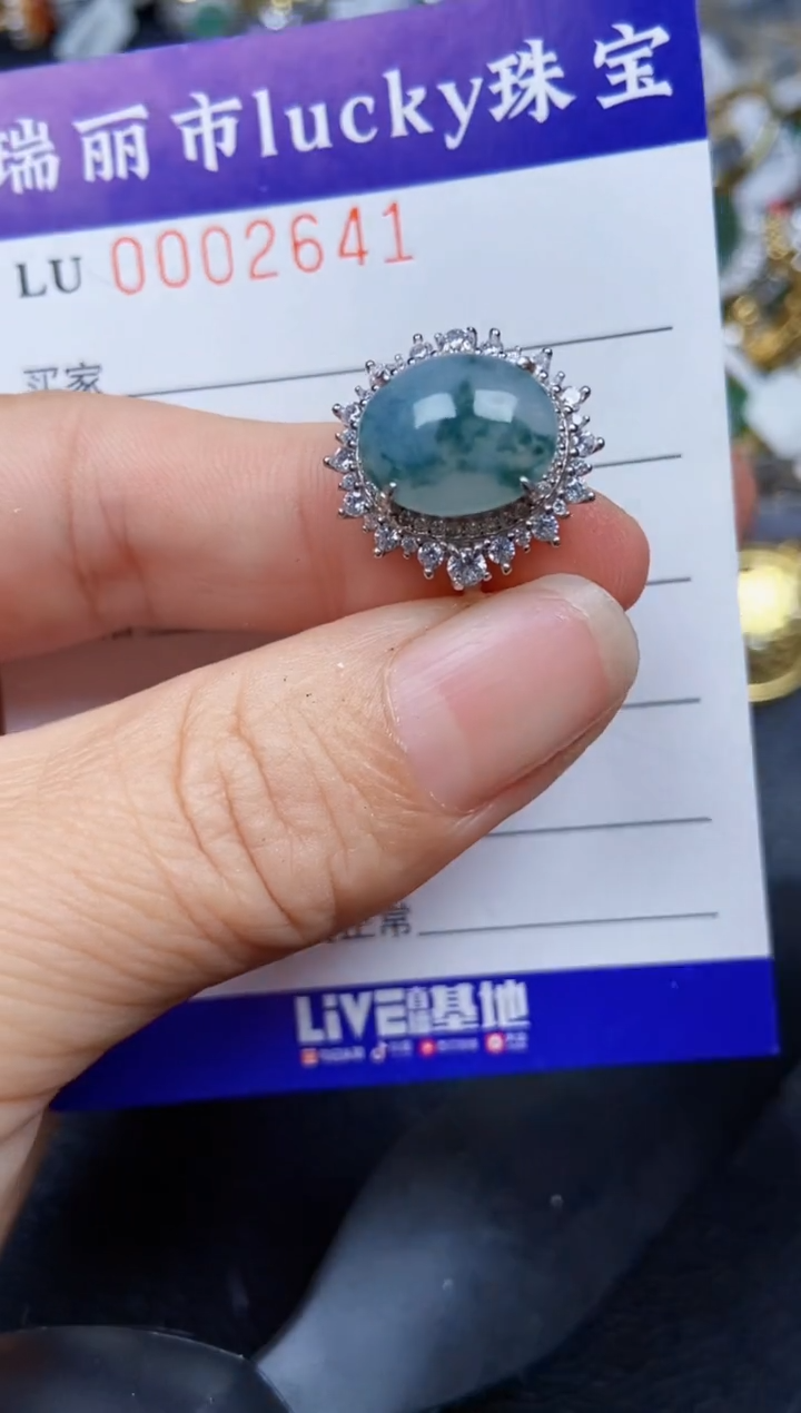 【闪购商品】翡翠颈饰银S925镶嵌2641