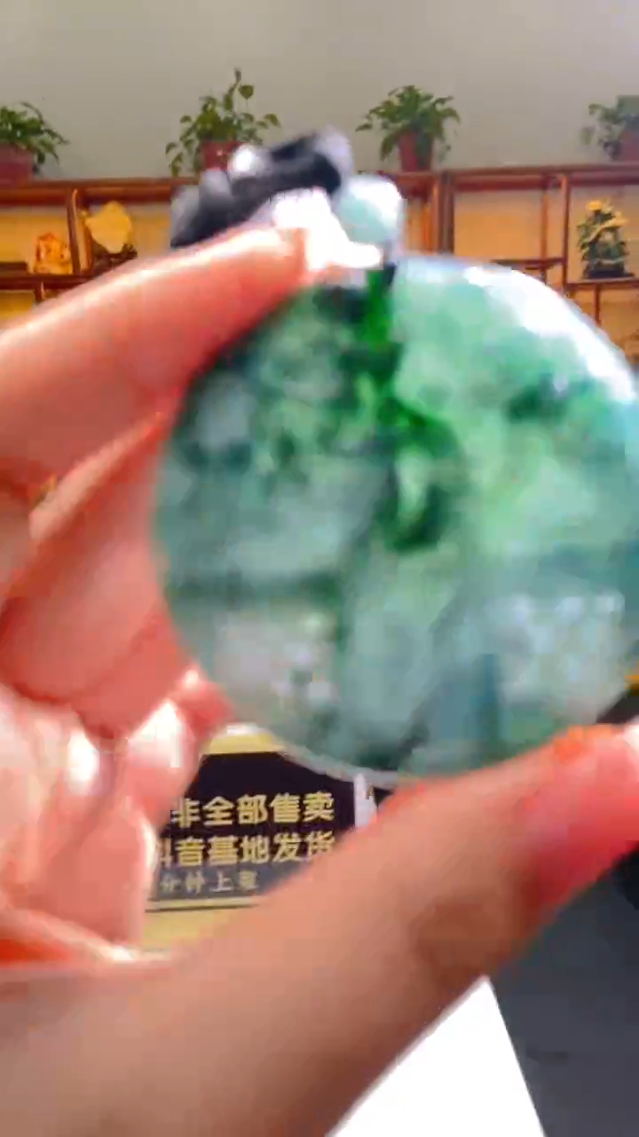 【闪购商品】翡翠颈饰未镶嵌毛货闪购链接WL0