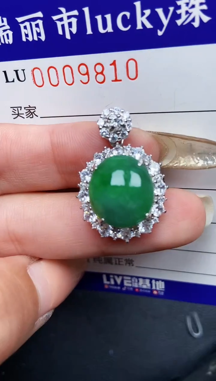 【闪购商品】翡翠颈饰银S925镶嵌9810