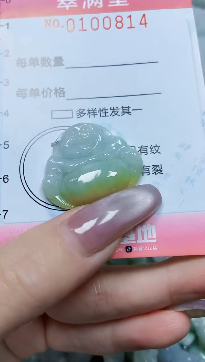 【闪购商品】翡翠颈饰未镶嵌闪购0100814