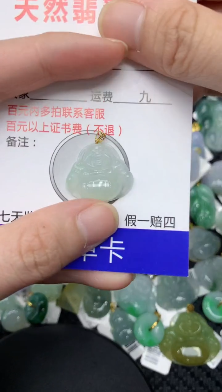 【闪购商品】翡翠颈饰18K金镶嵌11111111111