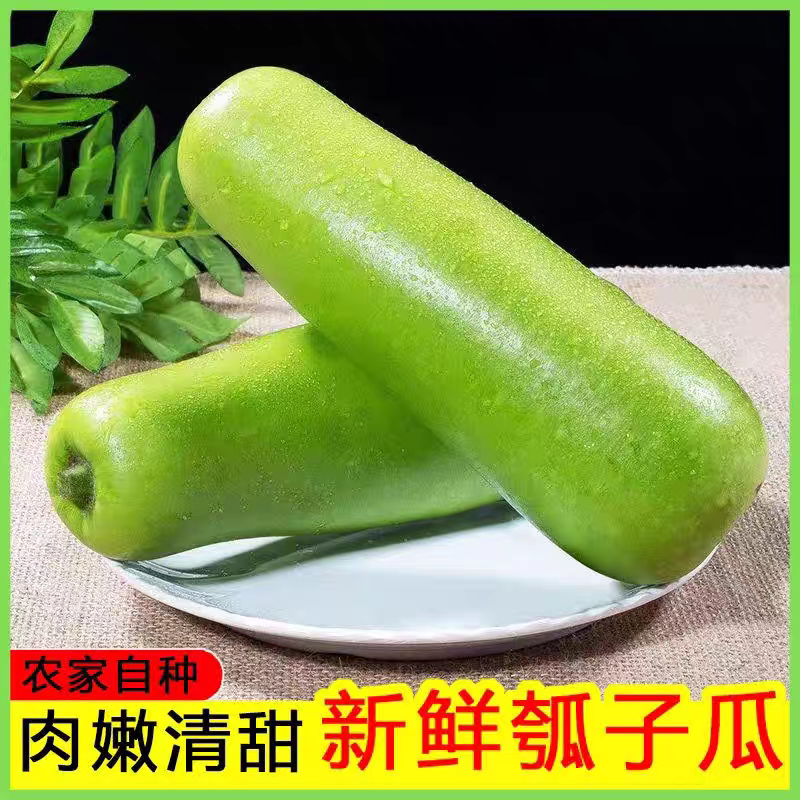 湘西高山新鲜蒲瓜