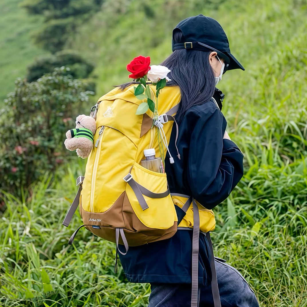 Aione/艾王专业户外登山包悬浮背负旅行背包徒步双肩包30升男女新