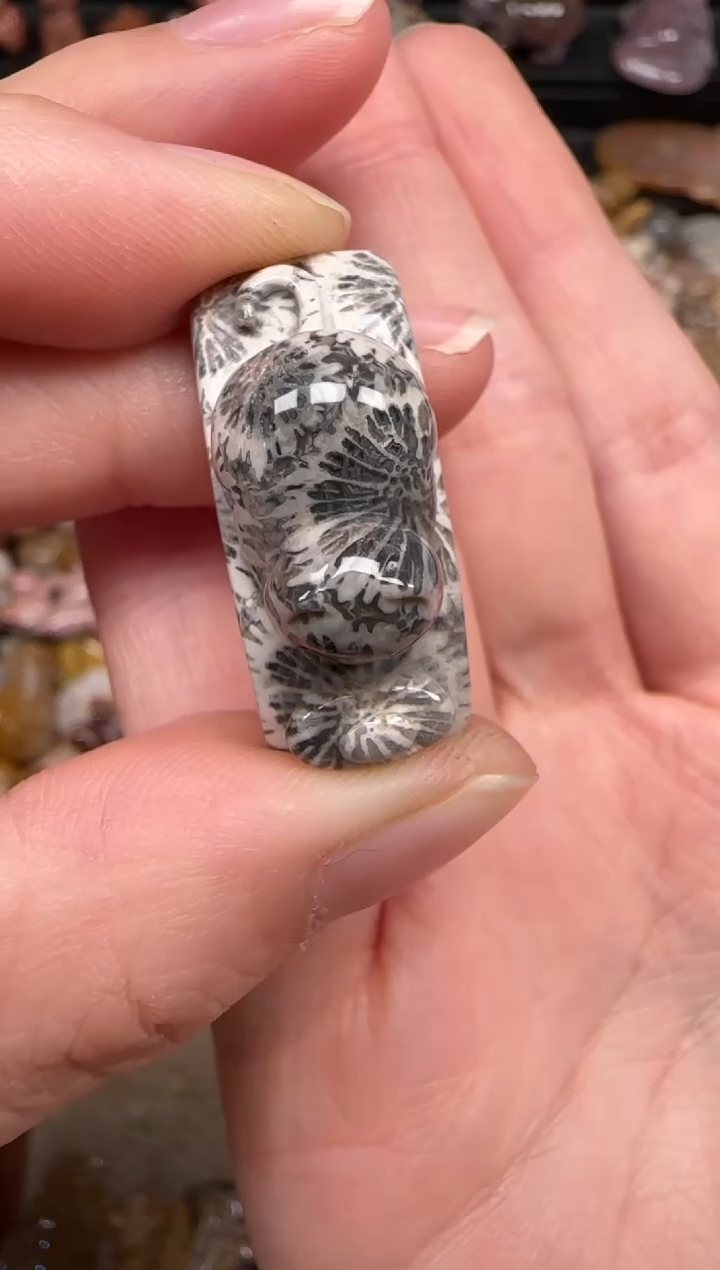 硅化珊瑚（珊瑚玉）未镶嵌颈饰327