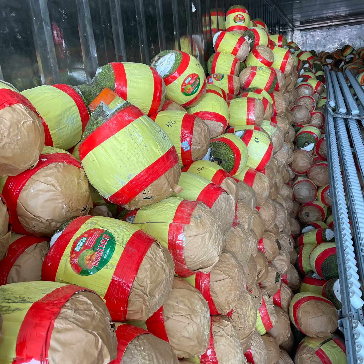 越南红肉菠萝蜜（一公斤）越南