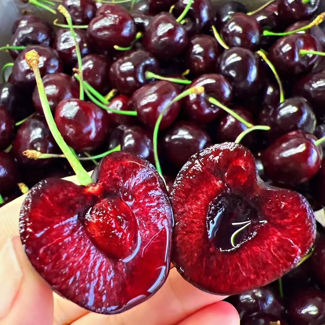 【微瑕疵】 智利空运拉宾斯3JD车厘子400g桑提娜智利